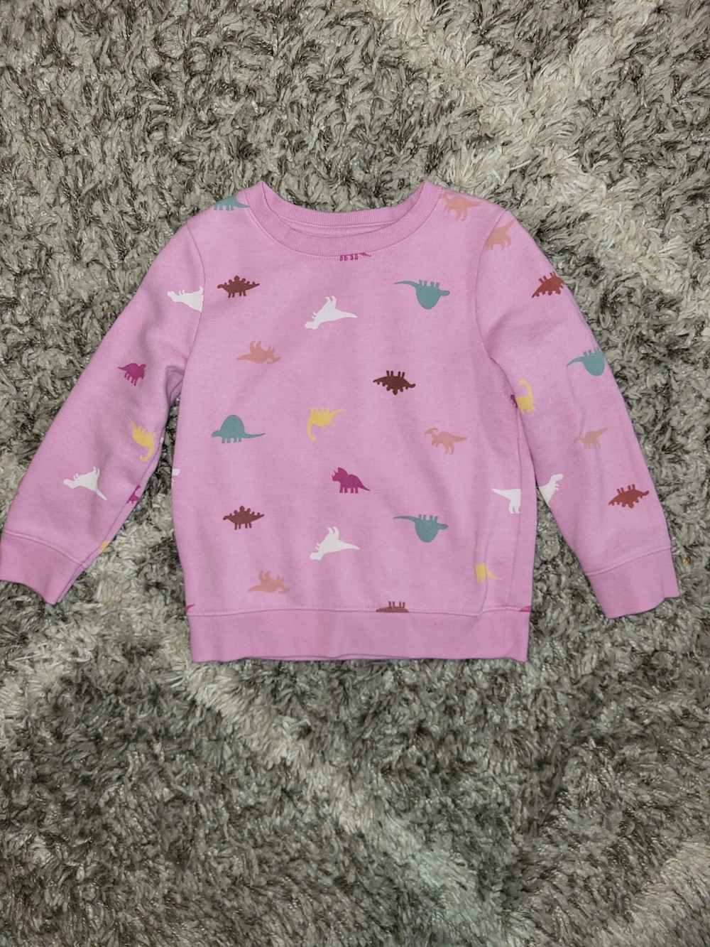 Cat & Jack Pink Sweatshirt with Multicolor Dino Prints
